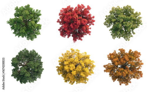 Overhead view of autumn trees