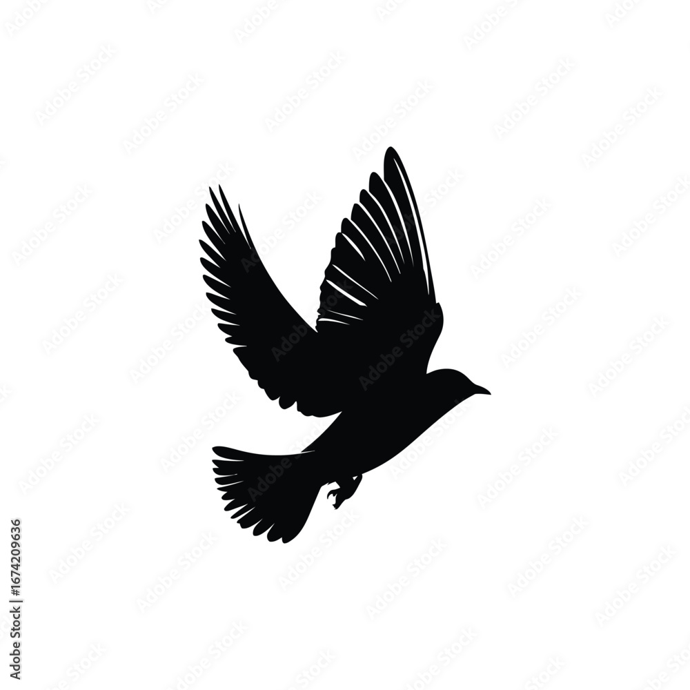 Fototapeta premium Silhouette of a bird in flight with wings spread against a white background in a simple vector style