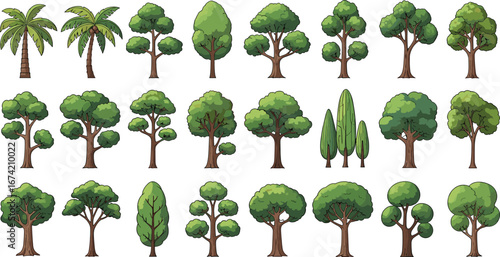 Cartoon tree collection, tropical and deciduous forest trees, green foliage, nature elements, isolated vector set for landscape design