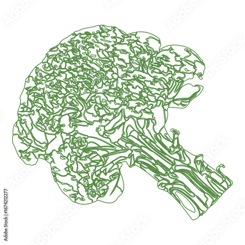 Vintage ink drawing of broccoli and bound asparagus on white background