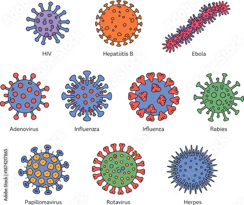 Hand-drawn virus icons, HIV, Hepatitis B, Ebola, Adenovirus, Influenza, Rabies, Papillomavirus, Rotavirus, Herpes, cartoon style, medical vector