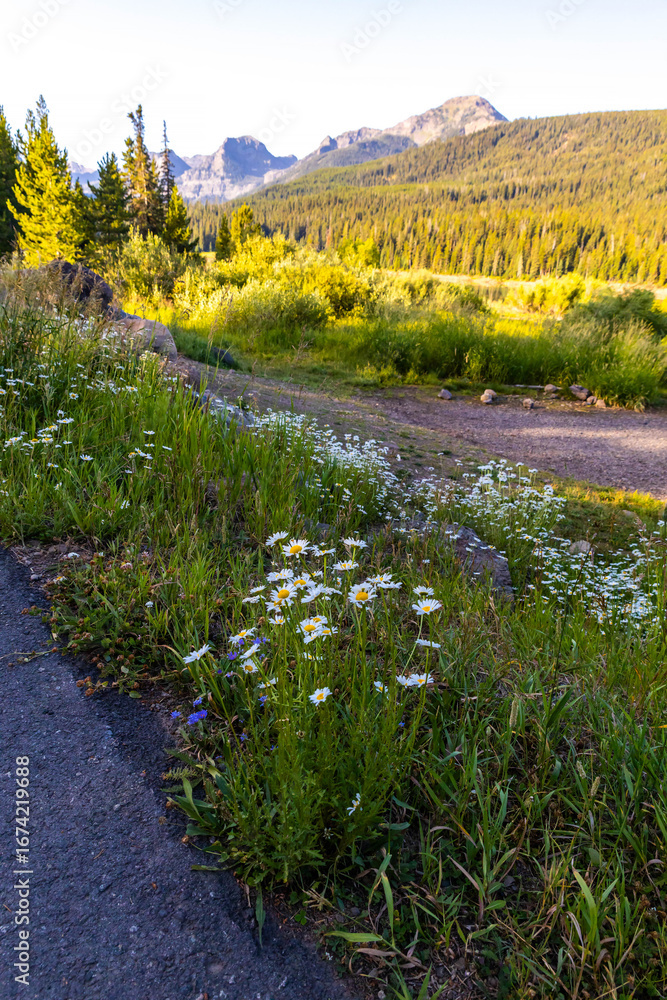 Fototapeta premium Custer Gallatin National Forest scenic landscape at sunrise