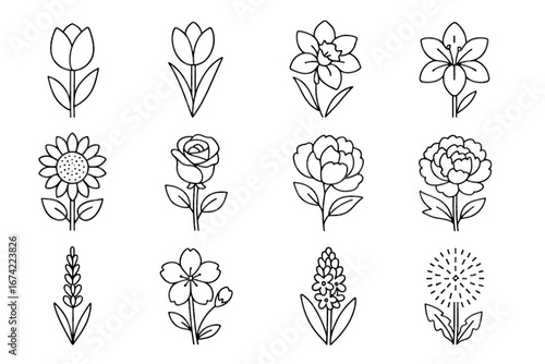 Collection of floral line art illustrations of various flowers in bloom