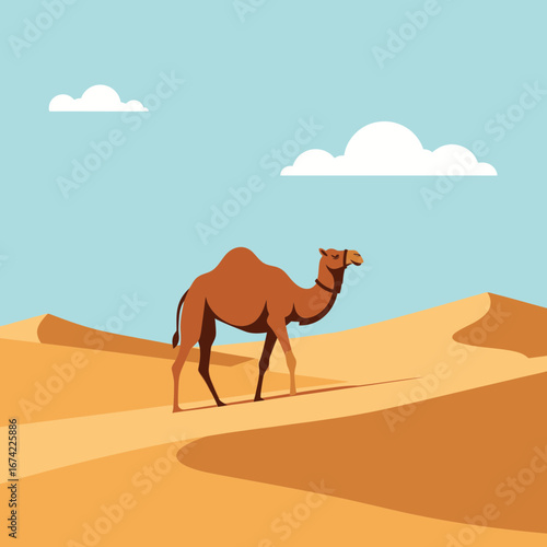 A camel walks across a sandy desert landscape under a blue sky.