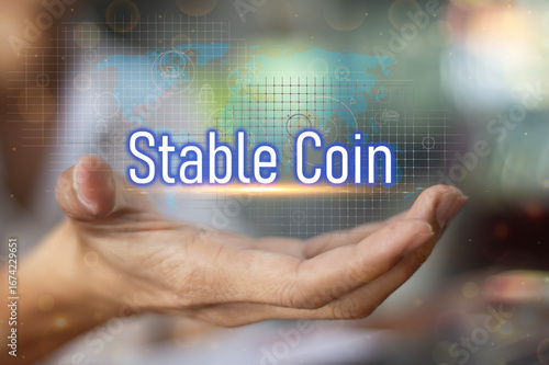 The concept of using stablecoins in the financial system