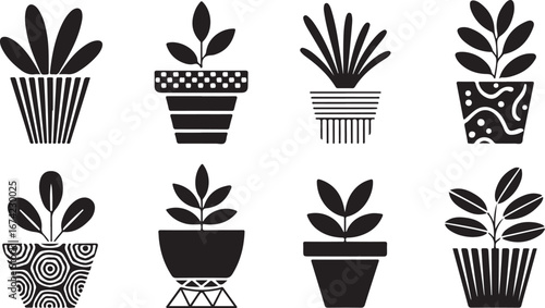 Potted plants with decorative pots indoor plants houseplants