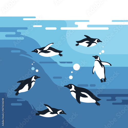 Penguins swimming and diving in blue ocean water.