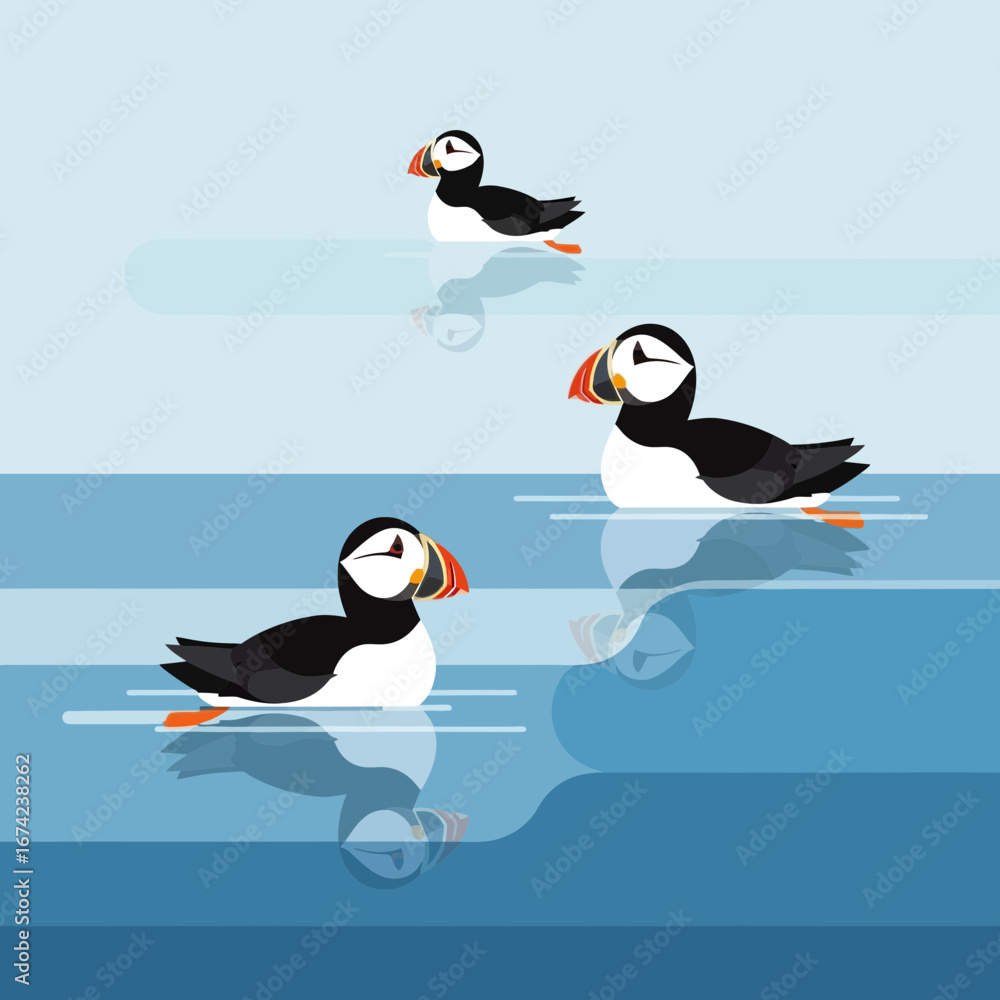 Naklejka premium Three puffins swimming in blue water with reflections.