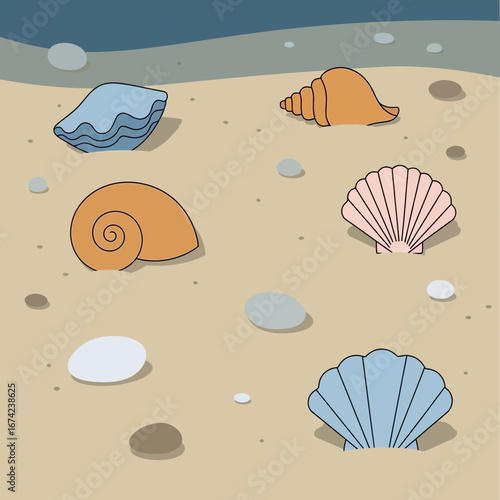 Seashells and stones on a sandy beach with ocean water.