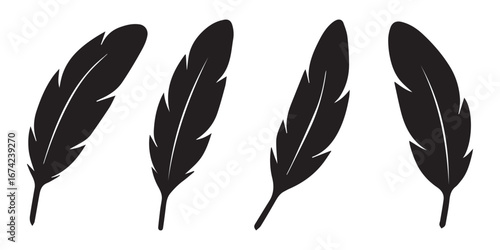 Feather vector icon isolated on white background