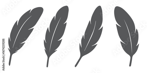 Feather vector icon isolated on white background