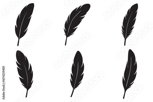 Feather vector icon isolated on white background