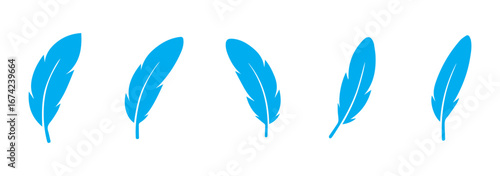 Feather icon set. Bird feather silhouette symbol. Plumelet collection isolated. Vector illustration.