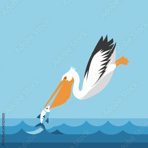Pelican catching fish in blue water with sky background