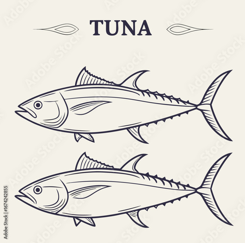  ink sketch of multiple tuna fish vector illustration