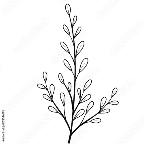 Flower black line art.