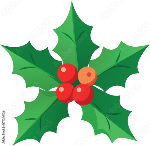 Detailed Holly Leaves Illustration with Berries Perfect for Christmas Designs on transparent background detailed illustration holly leaves and