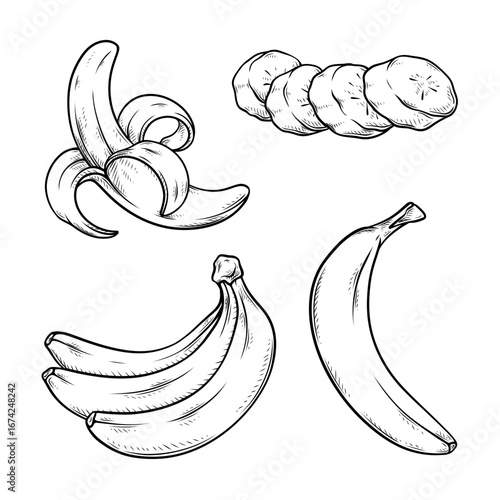 banana vector set collection with line art drawing illustration