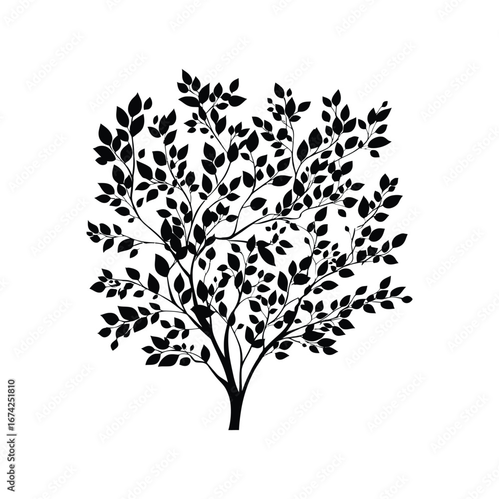 Fototapeta premium Silhouette of a deciduous tree with dense foliage and branches against a white background design element