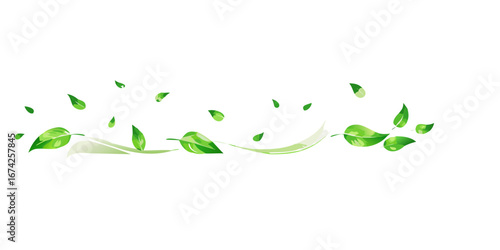Green flying leaves on long white banner. Leaf falling. Wave foliage ornament. Vegan, eco, organic design element. Cosmetic pattern border. Fresh tea background. Beauty product. Vector illustration.