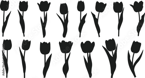 Tulip silhouette vector collection, black flower shapes set, spring floral illustration, isolated blossom icons, garden botanical art, decorative nature graphic elements