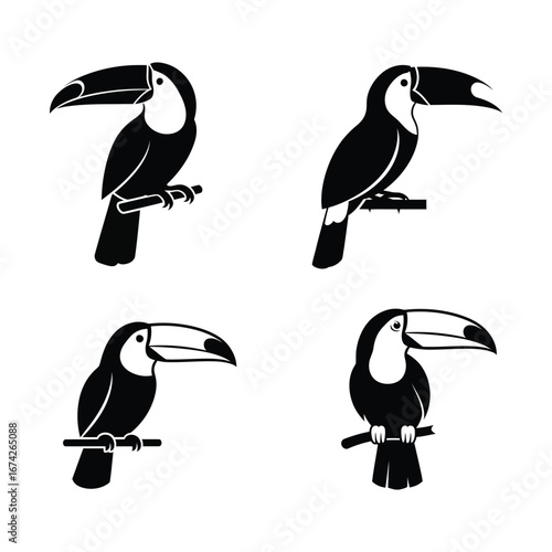 Elegant Toucan Bird Silhouettes Four Unique Designs