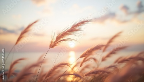 Golden hour light dances through feathery grasses as the sun dips below the horizon, casting a warm and serene glow.