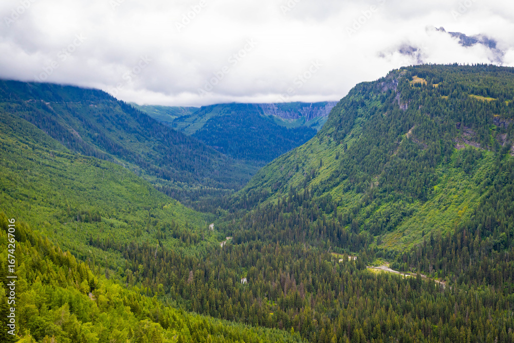 Fototapeta premium Scenic Green Lush Valley with Mountains in the Back at Glacier National Park