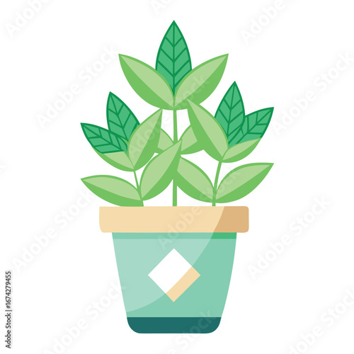 A young potted houseplant with vibrant green foliage is growing indoors
