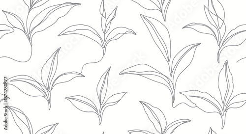 Botanical continuous line drawing pattern evokes minimalist charm and organic freshness