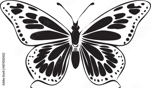 Black butterfly vector illustration with beautiful wings on a white background