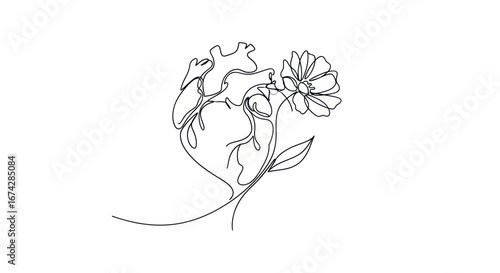 Delicate cardiovascular system integrated with a blossoming flower illustration