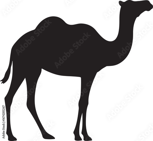 A vibrant cartoon camel with a single hump stands isolated against a white background, perfect for a vector illustration of a wild desert mammal