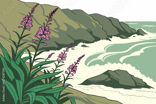 Fireweed by the seaside cliffs with waves crashing below, vector nature illustration style.