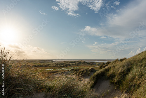 Dünenlandschaft