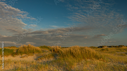 Sommer am Meer
