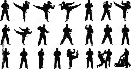 Vector Silhouette Illustration of 25 Martial Artists in Varied Combat and Training Poses Including Kicks, Punches, and Grappling on White Background