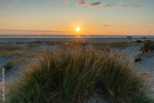 Sommer am Strand 