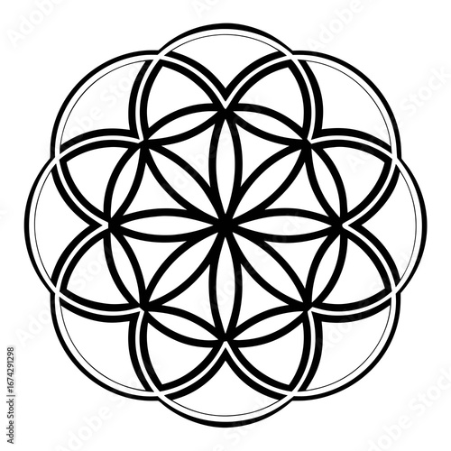 Flower of life sacred geometry symbol pattern