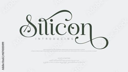 Silicon Elegant alphabet letters font and number. Classic Modern Serif Lettering Minimal Fashion. Typography decoration fonts for branding, wedding, invitations, logo.