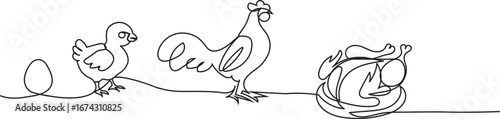 Life cycle of hen line art vector.