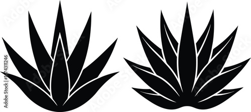 aloevera silhouette vector illustration. 