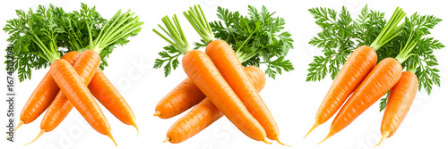 Set Of Realistic Fresh Orange Carrots with Green Tops, Png