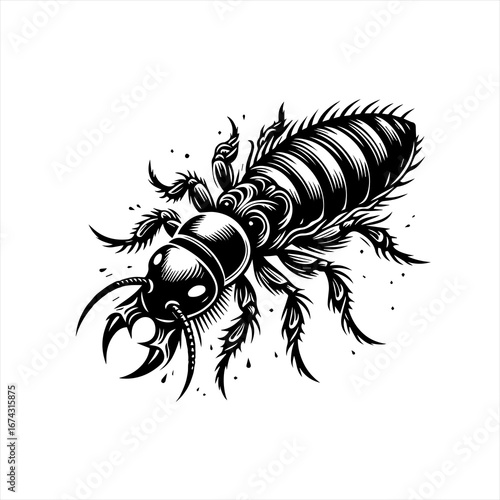 Detailed black and white illustration of a fierce insect with large mandibles