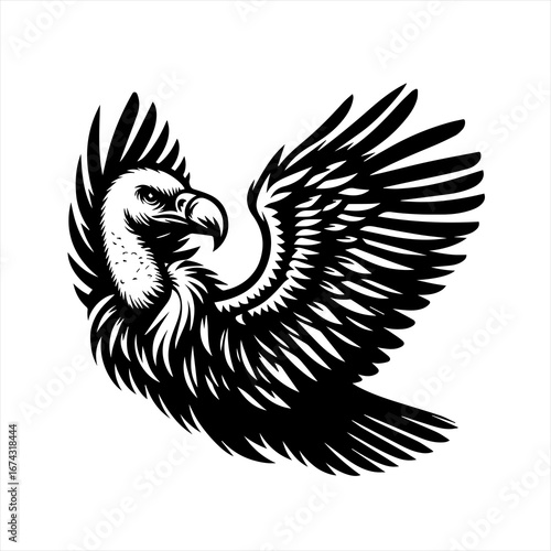 Black and white illustration of a vulture with spread wings
