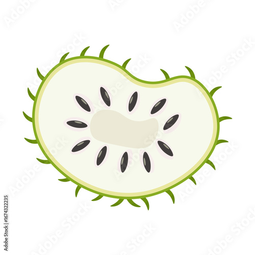 Soursop Illustration
