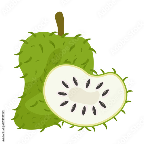 Soursop Illustration