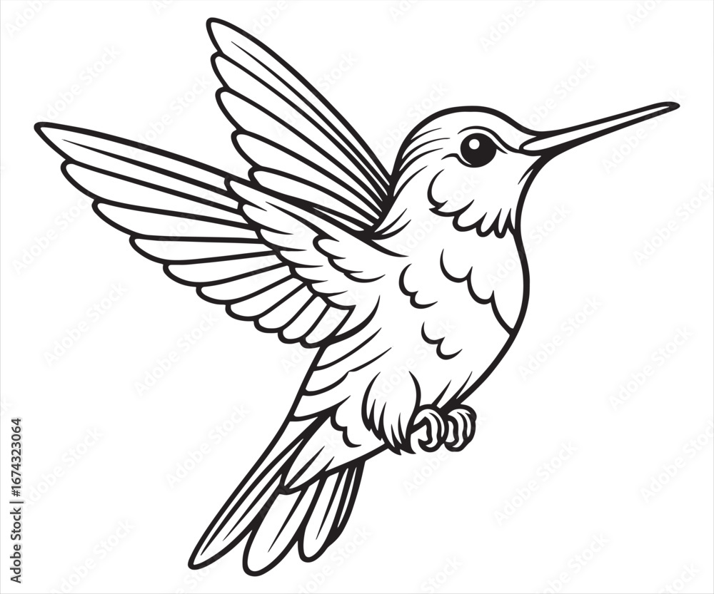 Fototapeta premium Elegant Hummingbird Flying Vector Illustration