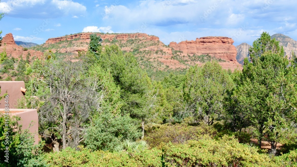 Fototapeta premium sedona red rock 