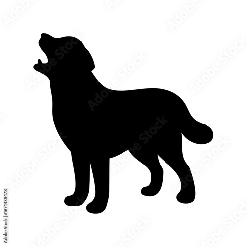 Silhouette of a howling dog, illustrating animal behavior and canine communication